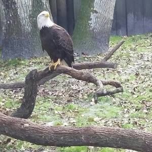 Meet your Posher, Roger